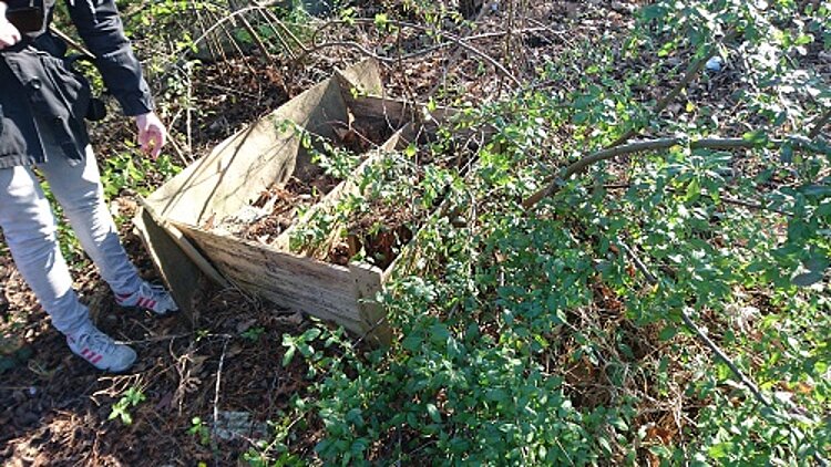 Sichtbare Fortschritte am Adlergestell – die Bäume sind weg! Sichtbare Fortschritte am Adlergestell – die Bäume sind weg!