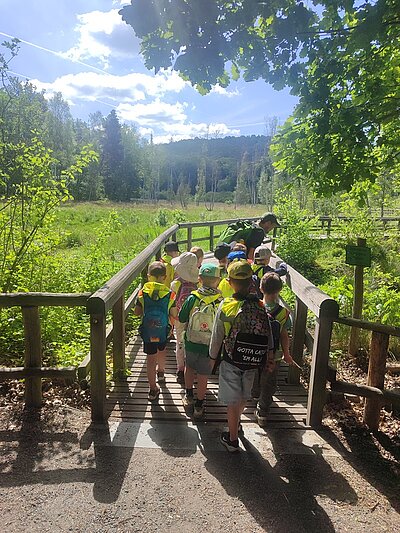 Kindergruppe mit Rucksäcken und Mützen steht auf einem Holzsteg, der durch eine grüne, sonnendurchflutete Waldlandschaft führt. Im Hintergrund sind Bäume, Büsche und ein leicht bewölkter Himmel zu sehen. Ein Erwachsener begleitet die Kinder. Sonnenlicht fällt durch das Blätterdach und erzeugt helle und schattige Bereiche auf dem Weg.