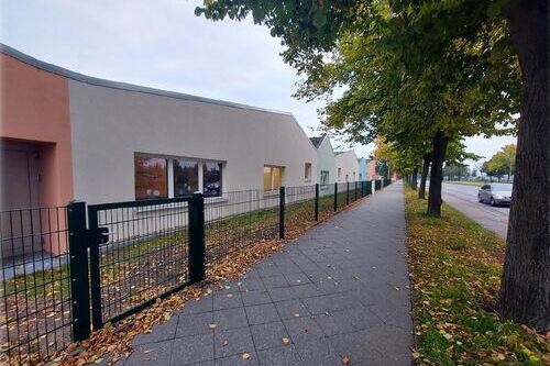 Zaunbau, die Zweite Zaunbau, die Zweite-1