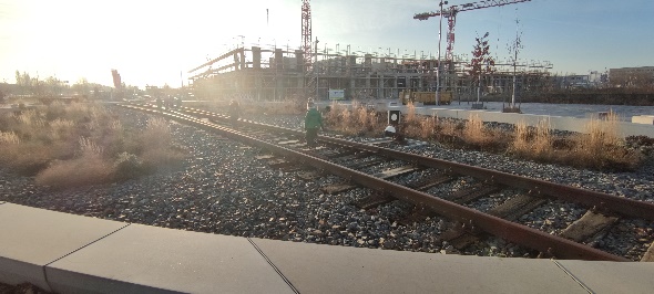 Wochenrückblick der Zaunkönige Wochenrückblick der Zaunkönige-1
