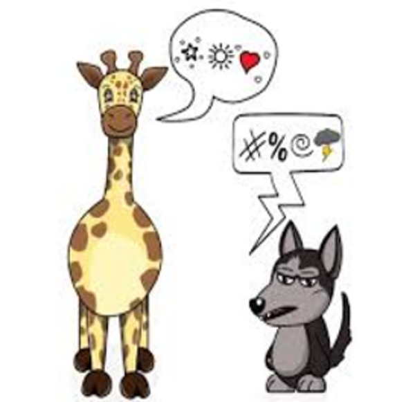 Gemeinsam wachsen – Einblicke in die Fortbildung zum Tag der Gewaltfreien Kommunikation